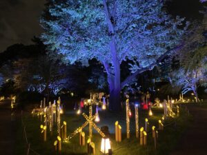 グランドプリンスホテル高輪の日本庭園ライトアップ