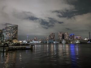 海から見た東京の夜景